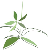 LOGO DECO FLORALE RICARD MARSEILLE ENTRETIEN FAMILIAL